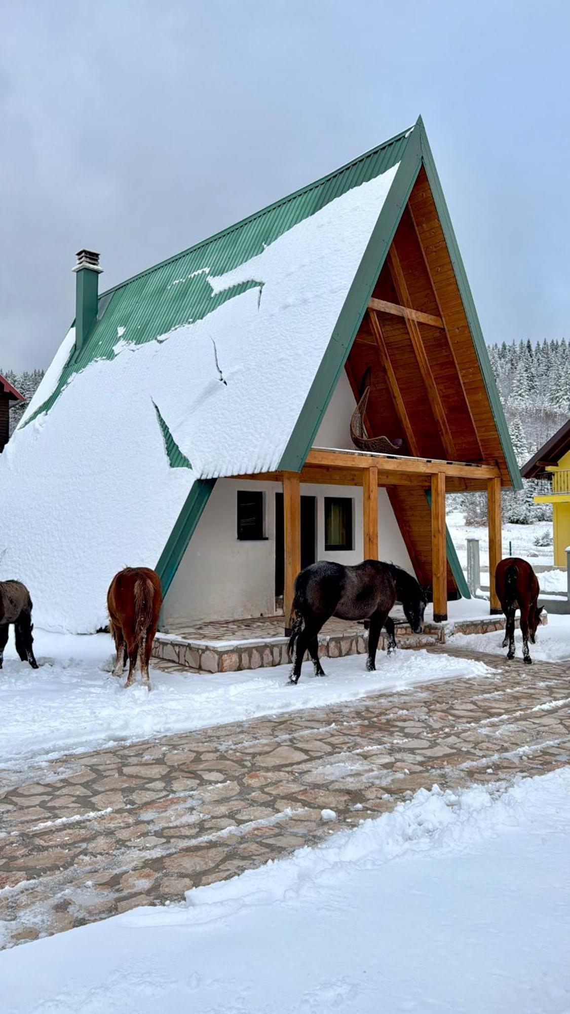 Woodside Zabljak المظهر الخارجي الصورة